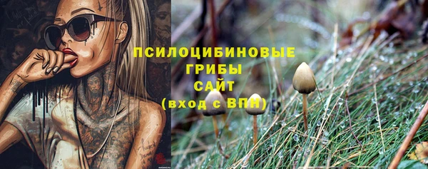 метадон Алзамай
