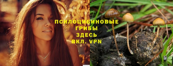 каннабис Алексеевка