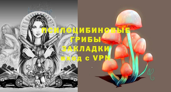 a pvp Арсеньев