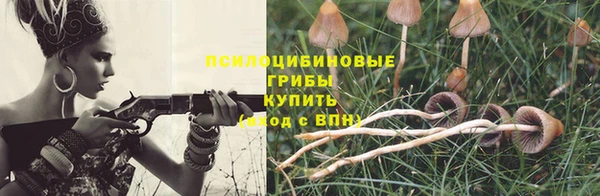 не бодяженный Алексин