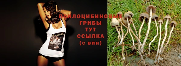 каннабис Алексеевка